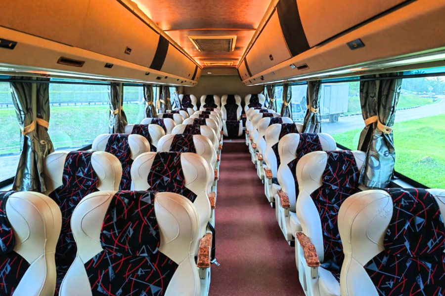 SVIP Coach